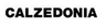 Logo Calzedonia