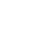 Logo VAIO